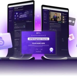 gtm-engineering-stackoptimise-course-felix-and-penn